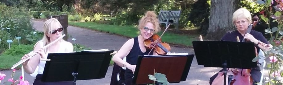 Gallery photo 3 of The Silverwood Trio