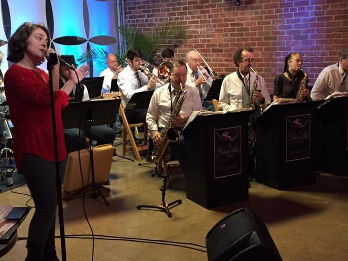 Gallery photo 6 of The Silvery Moon Band