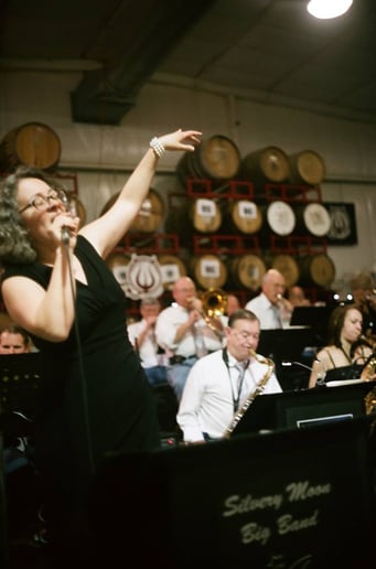 Gallery photo 4 of The Silvery Moon Band