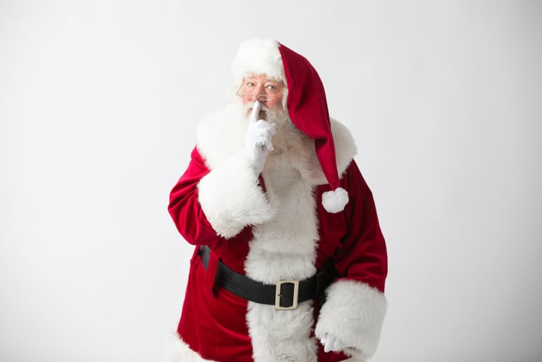 Gallery photo 5 of The Singing Santa