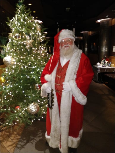 Gallery photo 3 of The Singing Santa