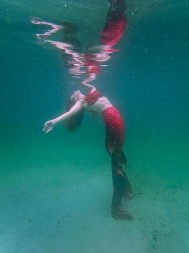 Gallery photo 2 of The Siren Scarlett