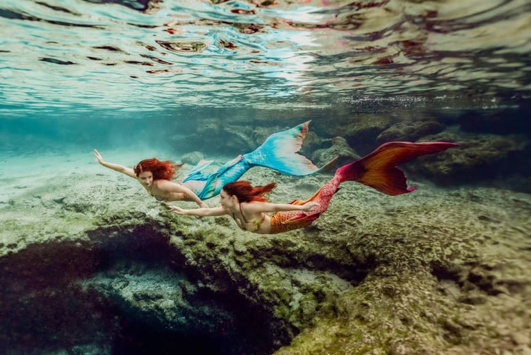 Gallery photo 7 of The Siren Sisters Mermaids