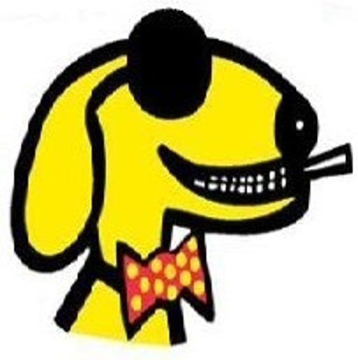 Gallery photo 1 of The Sly Dog Band