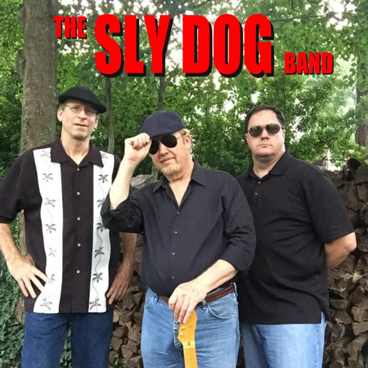 Gallery photo 3 of The Sly Dog Band