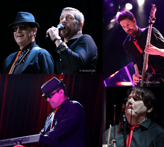 Gallery photo 4 of The Smokin' Cobras