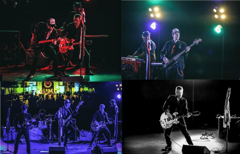 Gallery photo 1 of The Smokin' Cobras