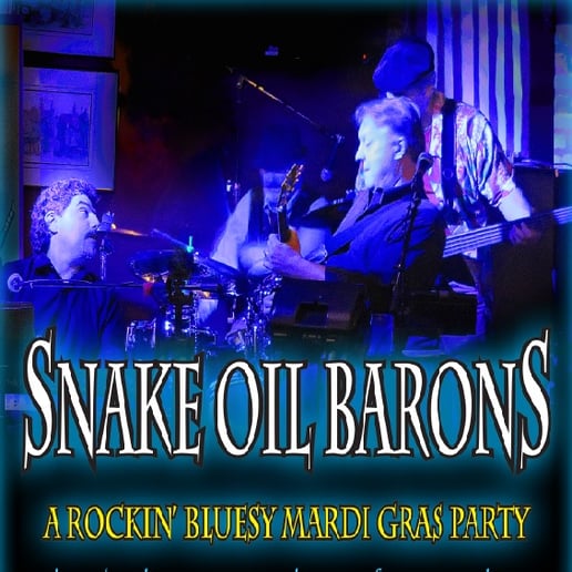 Gallery photo 8 of The Snake Oil Barons Band