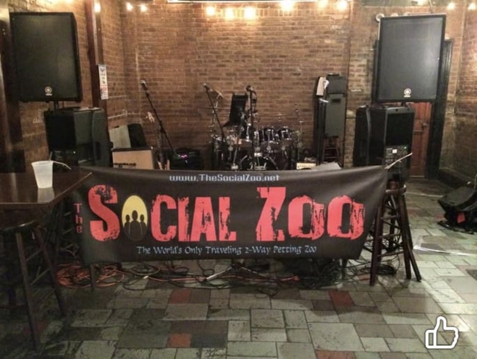 Gallery photo 3 of The Social Zoo