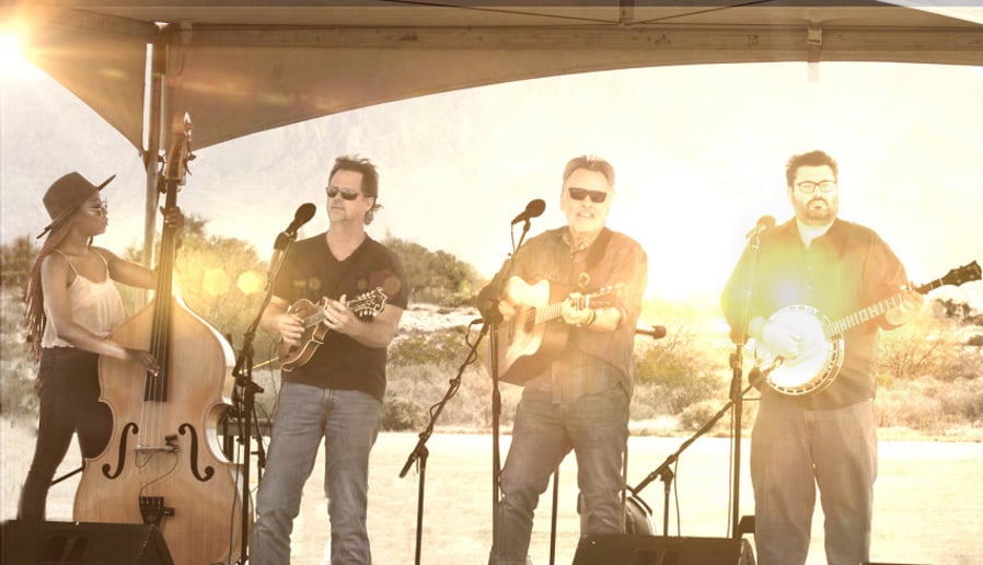 Gallery photo 2 of The Sonoran Dogs