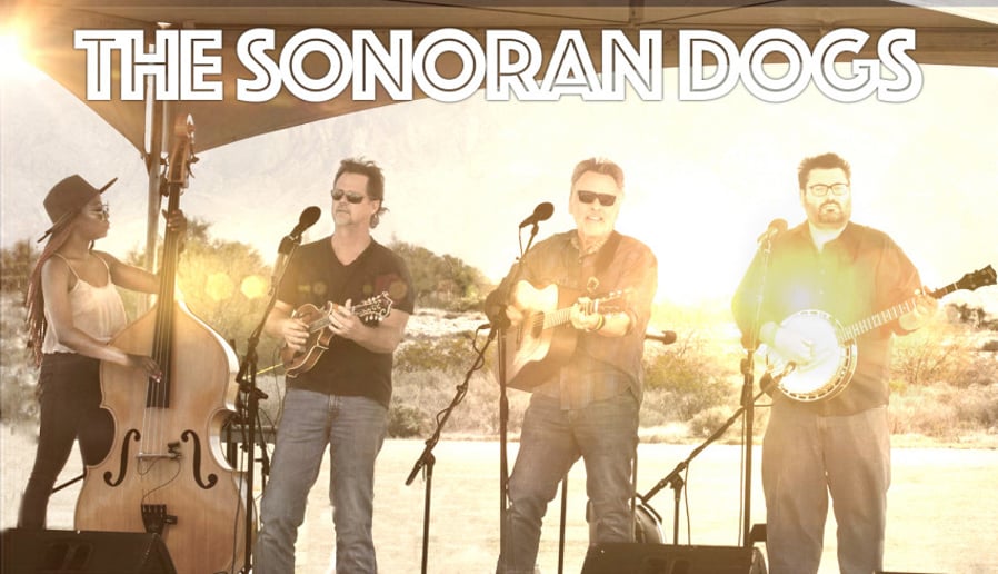 Gallery photo 3 of The Sonoran Dogs