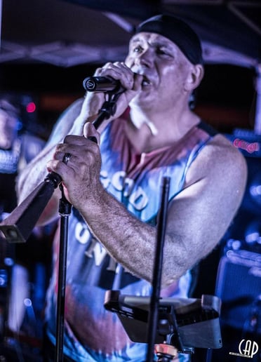 Gallery photo 6 of The Sound Dawgs