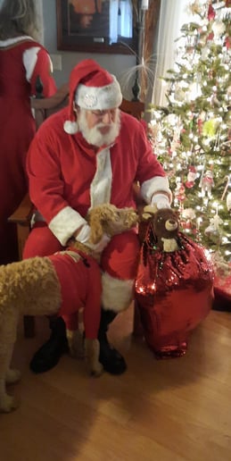 Gallery photo 1 of The Southern Santa