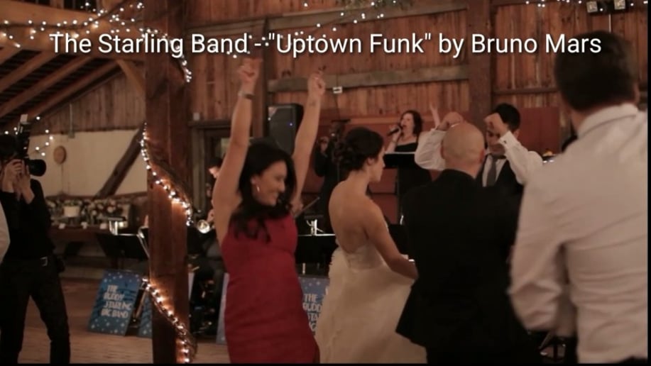 Gallery photo 2 of The Starling Band