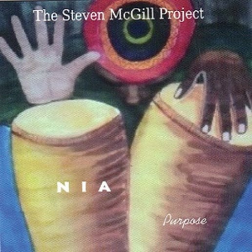 Gallery photo 1 of The Steven McGill Project