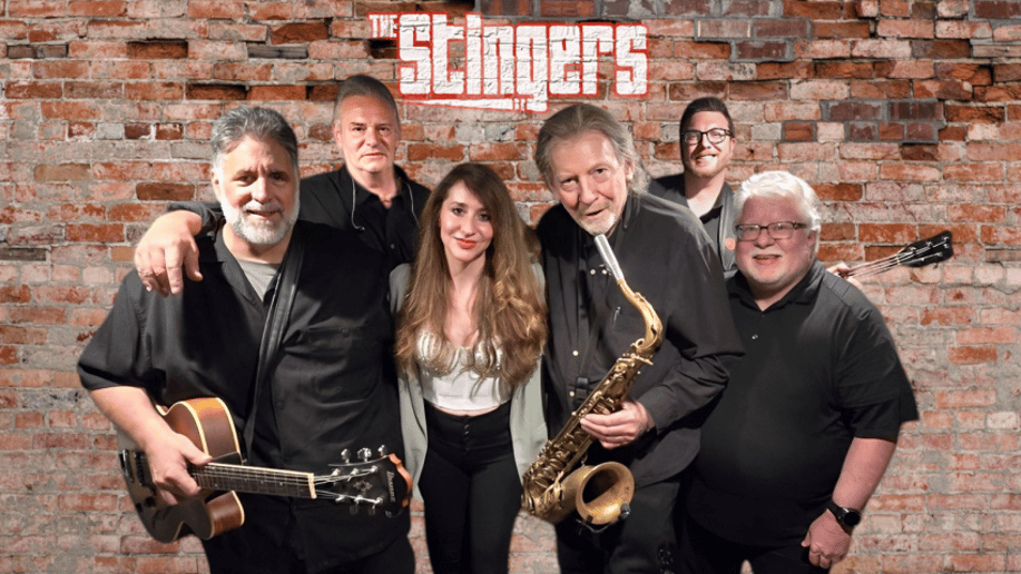 Gallery photo 1 of The Stingers