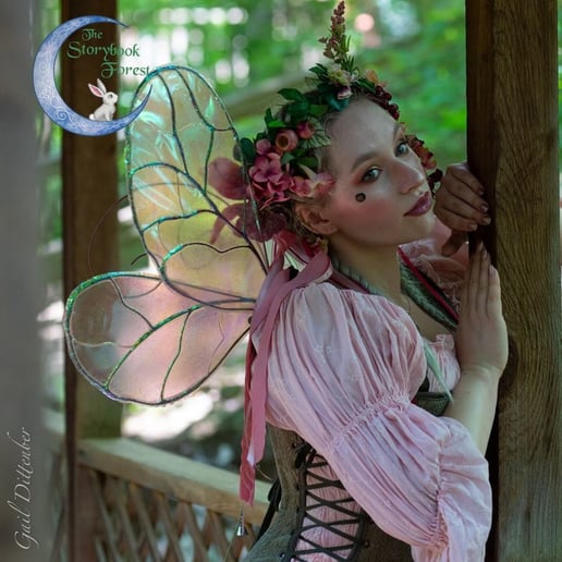 Gallery photo 20 of The Storybook Forest