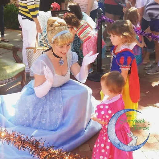 Gallery photo 22 of The Storybook Forest