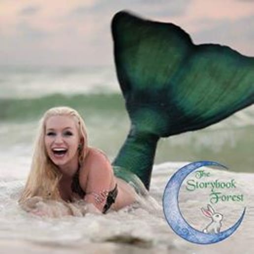 Gallery photo 34 of The Storybook Forest