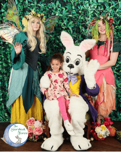 Gallery photo 41 of The Storybook Forest