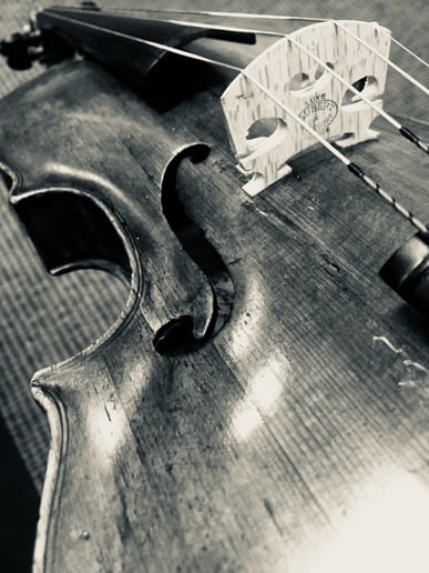 Gallery photo 6 of The String Smith