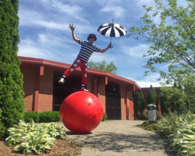 Gallery photo 10 of The Striped Circus