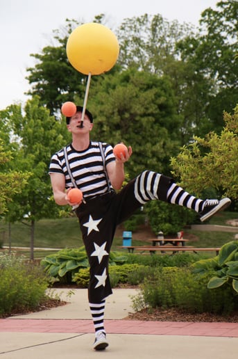 Gallery photo 2 of The Striped Circus