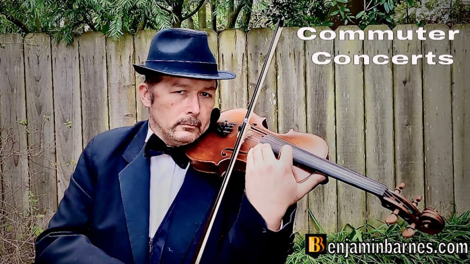 Gallery photo 9 of The Strolling Violinist