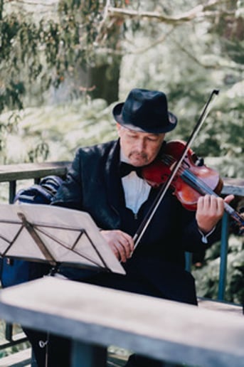 Gallery photo 6 of The Strolling Violinist