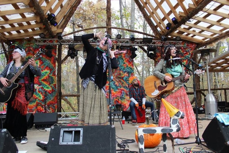 Gallery photo 4 of The Sugarbeats