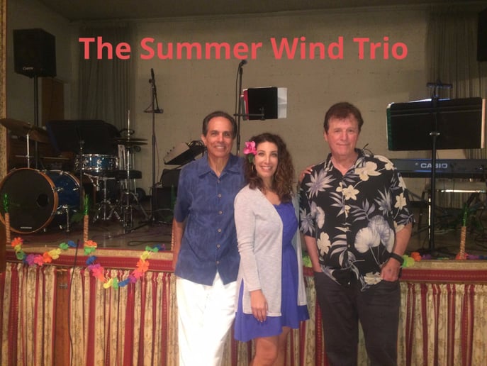 Gallery photo 6 of The Summer Wind Trio and DJ Services