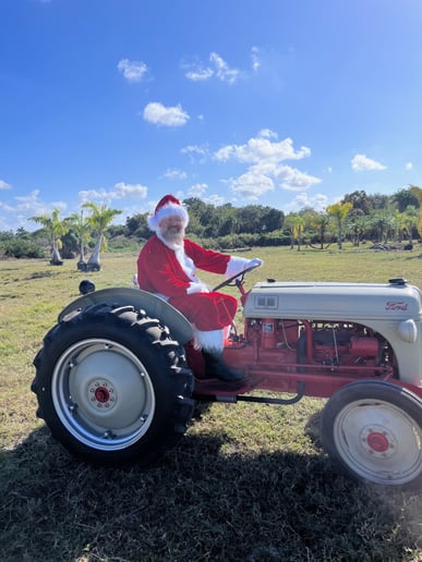 Gallery photo 10 of The Sunshine Santa