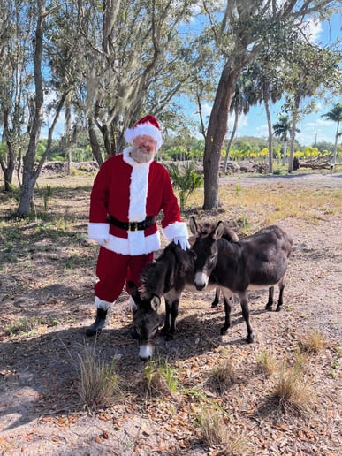 Gallery photo 8 of The Sunshine Santa