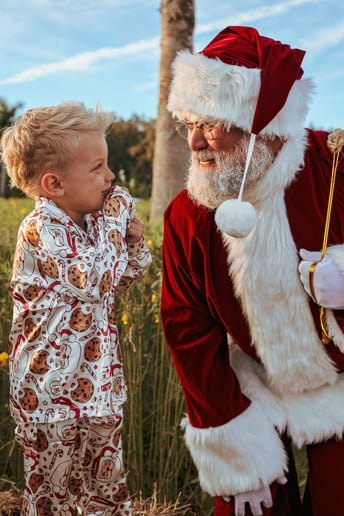 Gallery photo 5 of The Sunshine Santa