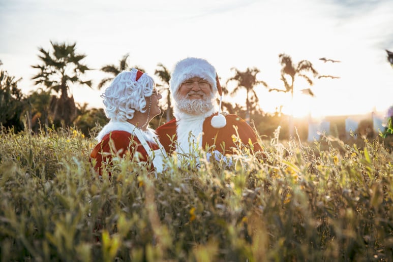 Gallery photo 6 of The Sunshine Santa