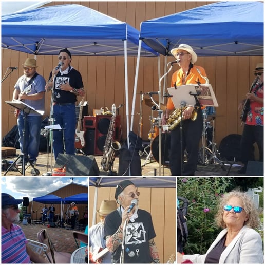 Gallery photo 8 of The Swamptones