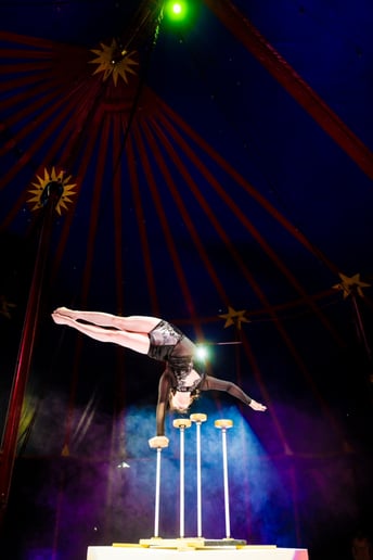 Gallery photo 5 of Acrobatic Artist Junru