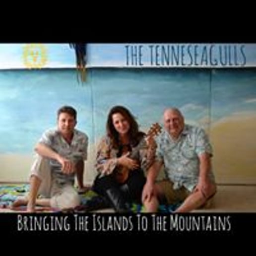 Gallery photo 1 of The Tenneseagulls