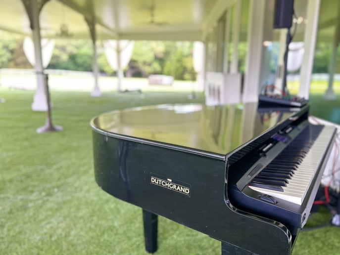 Gallery photo 15 of The Texas Pianoman