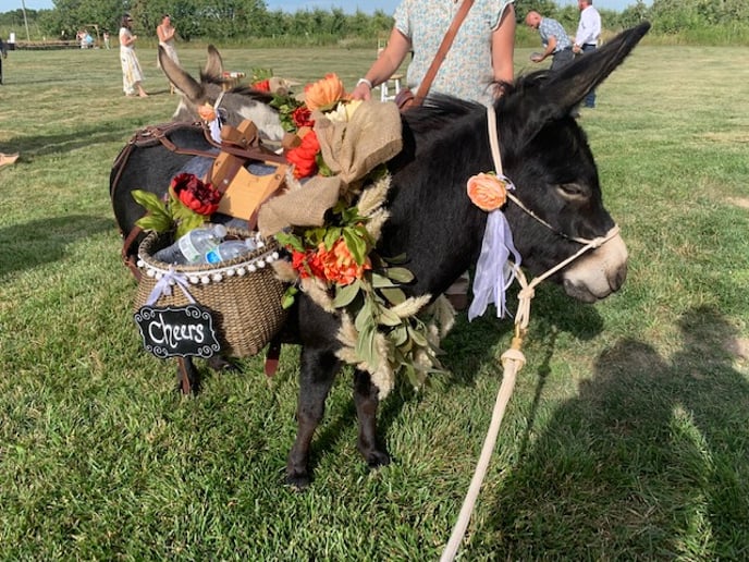 Gallery photo 1 of The Tipsy Burro
