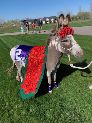 Gallery photo 4 of The Tipsy Burro