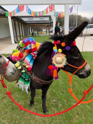 Gallery photo 5 of The Tipsy Burro