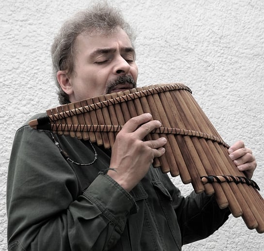 Gallery photo 7 of The Wandering Minstrel