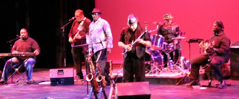 Gallery photo 5 of The Tribe Band & Show