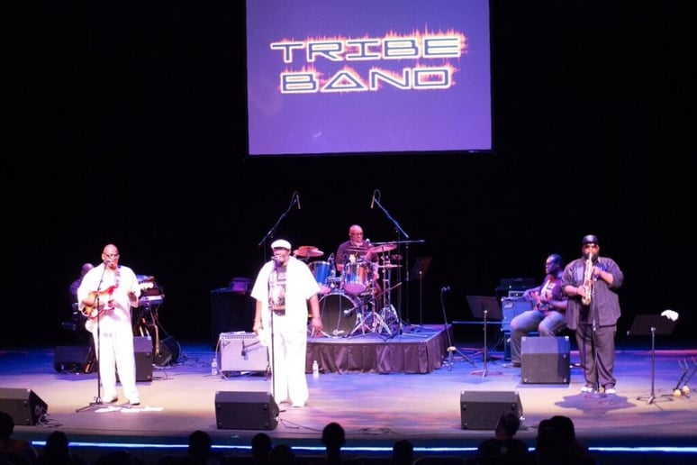 Gallery photo 10 of The Tribe Band & Show