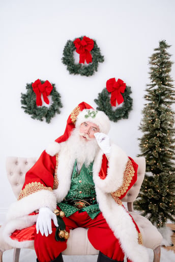 Gallery photo 6 of The Tucson Santa