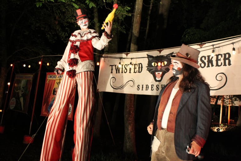 Gallery photo 6 of The Twisted Whisker Sideshow