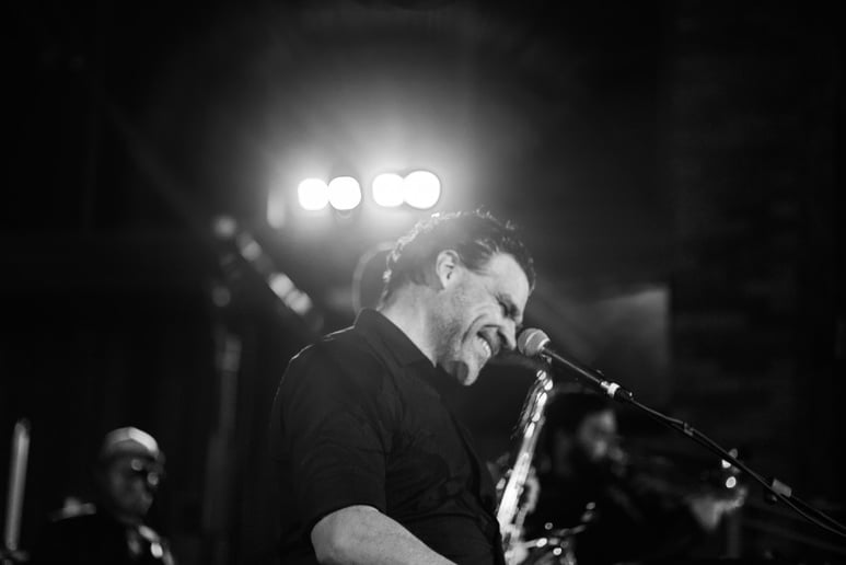 Gallery photo 8 of Paul and the Feels