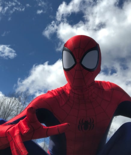 Gallery photo 3 of The Unbeatable Spider-Man!