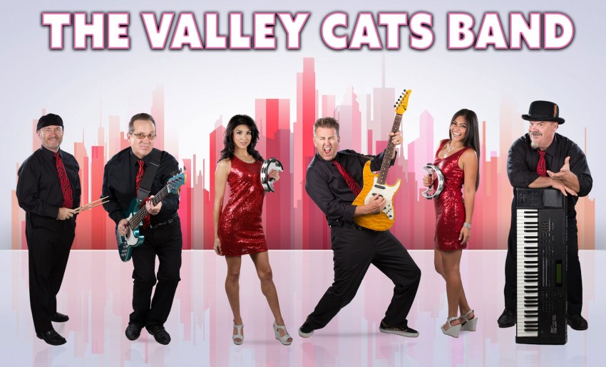 Gallery photo 1 of The Valley Cats Band